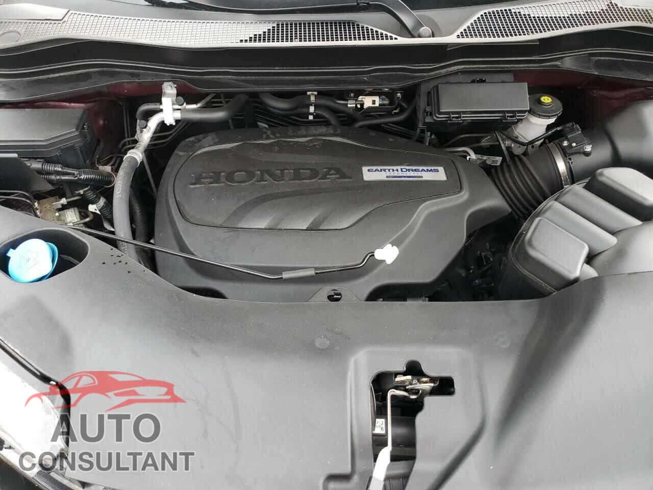 HONDA RIDGELINE 2019 - 5FPYK3F76KB028335