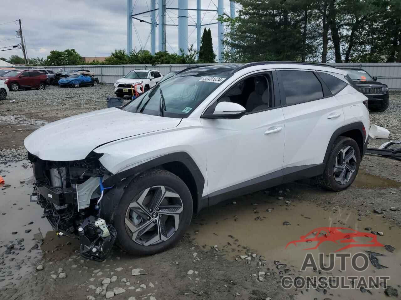 HYUNDAI TUCSON 2024 - KM8JCCD18RU139438