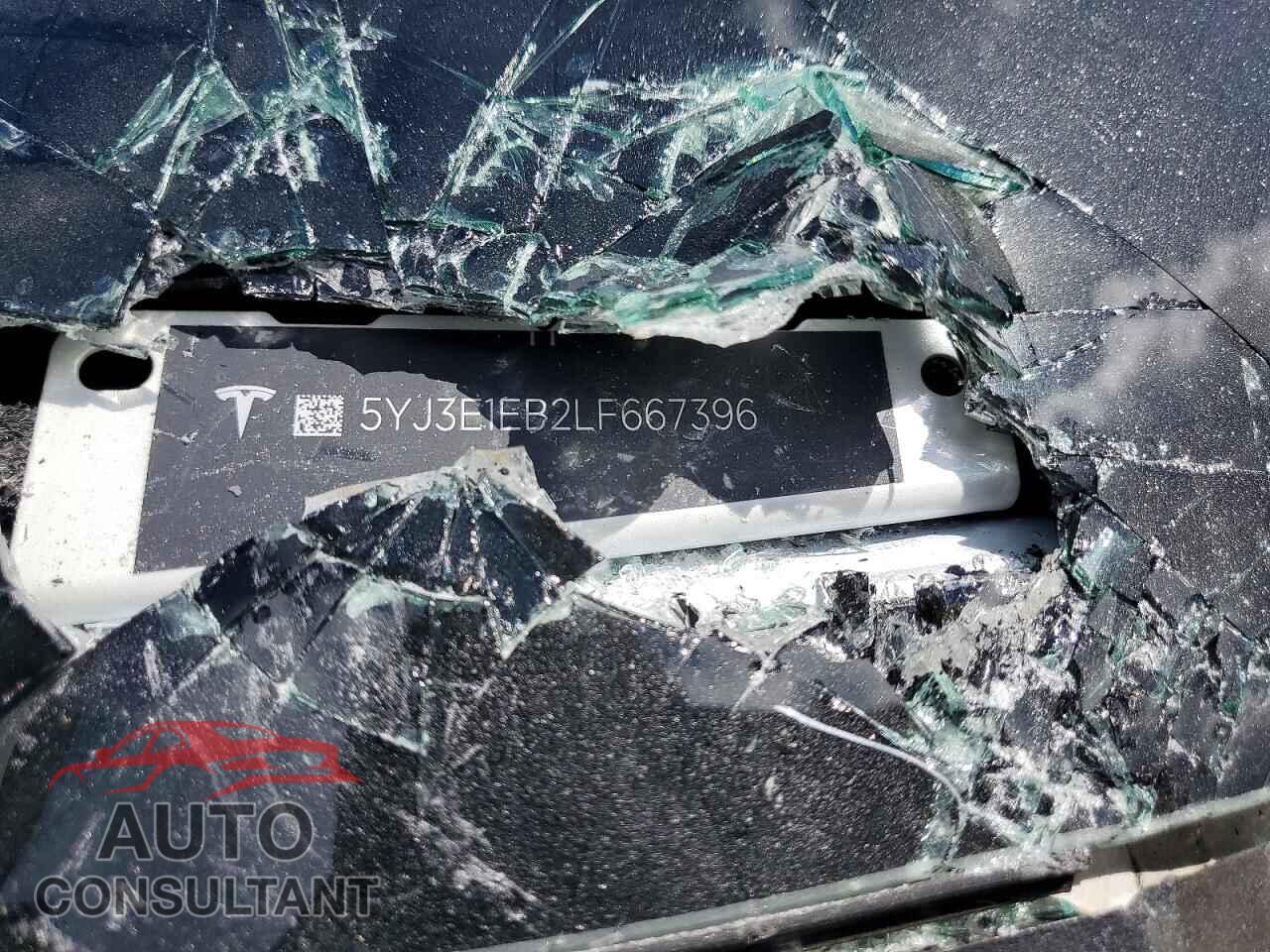 TESLA MODEL 3 2020 - 5YJ3E1EB2LF667396