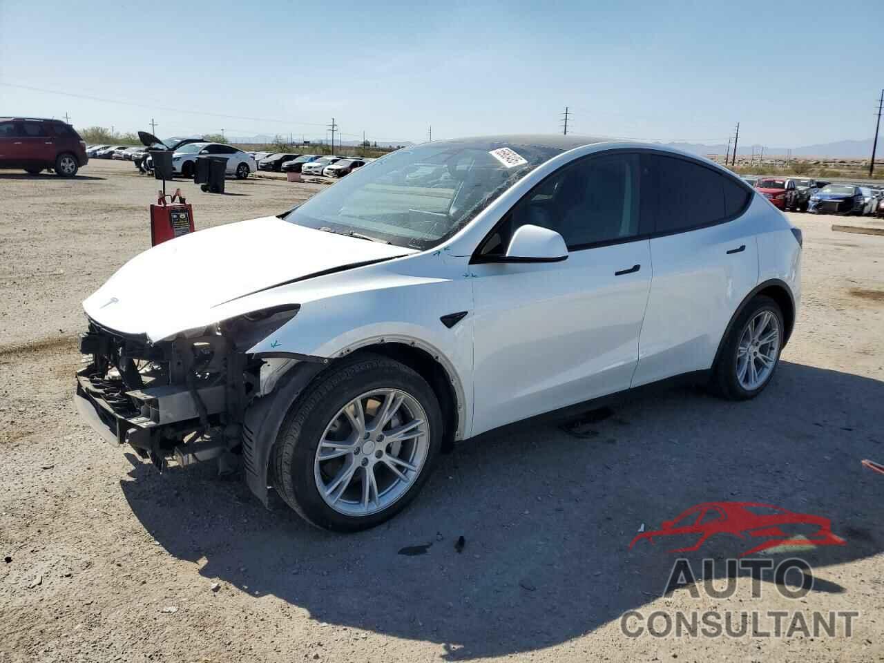 TESLA MODEL Y 2021 - 5YJYGDEE7MF160183