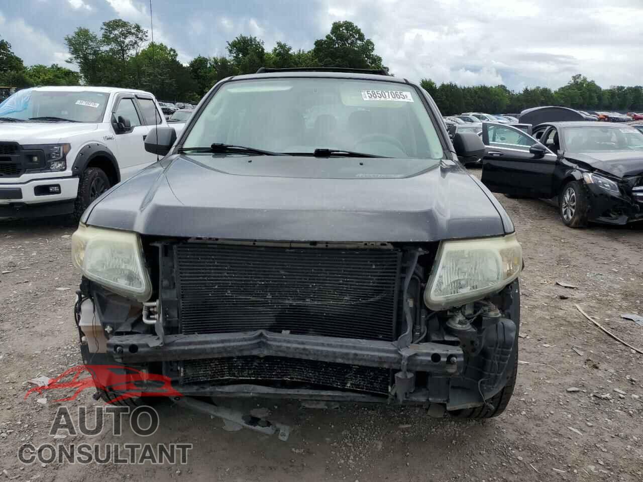 MAZDA TRIBUTE 2011 - 4F2CY0C79BKM03786