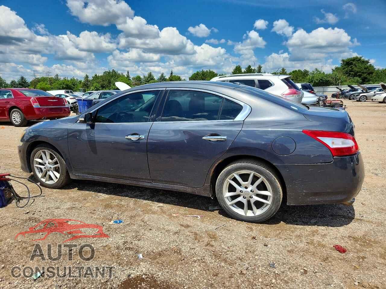 NISSAN MAXIMA 2011 - 1N4AA5AP7BC830444