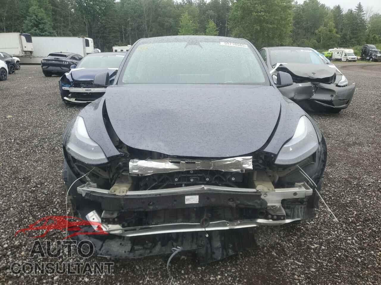 TESLA MODEL Y 2023 - LRWYGDFD2PC162377