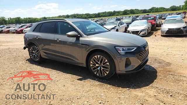 AUDI ALL OTHER 2024 - WA15AAGE2RB050596