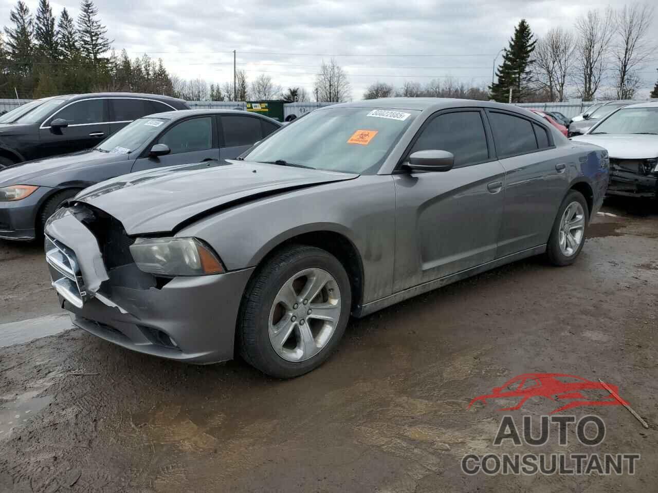 DODGE CHARGER 2011 - 2B3CL3CG9BH503881