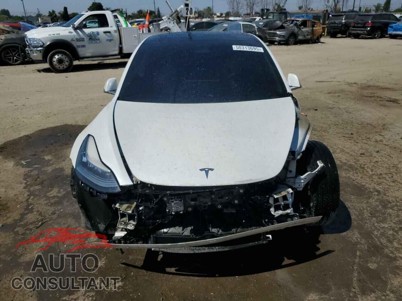 TESLA MODEL 3 2019 - 5YJ3E1EA0KF466585