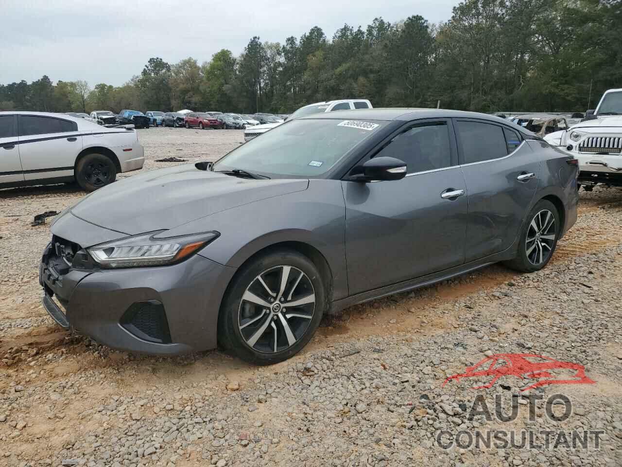 NISSAN MAXIMA 2022 - 1N4AA6CVXNC503767