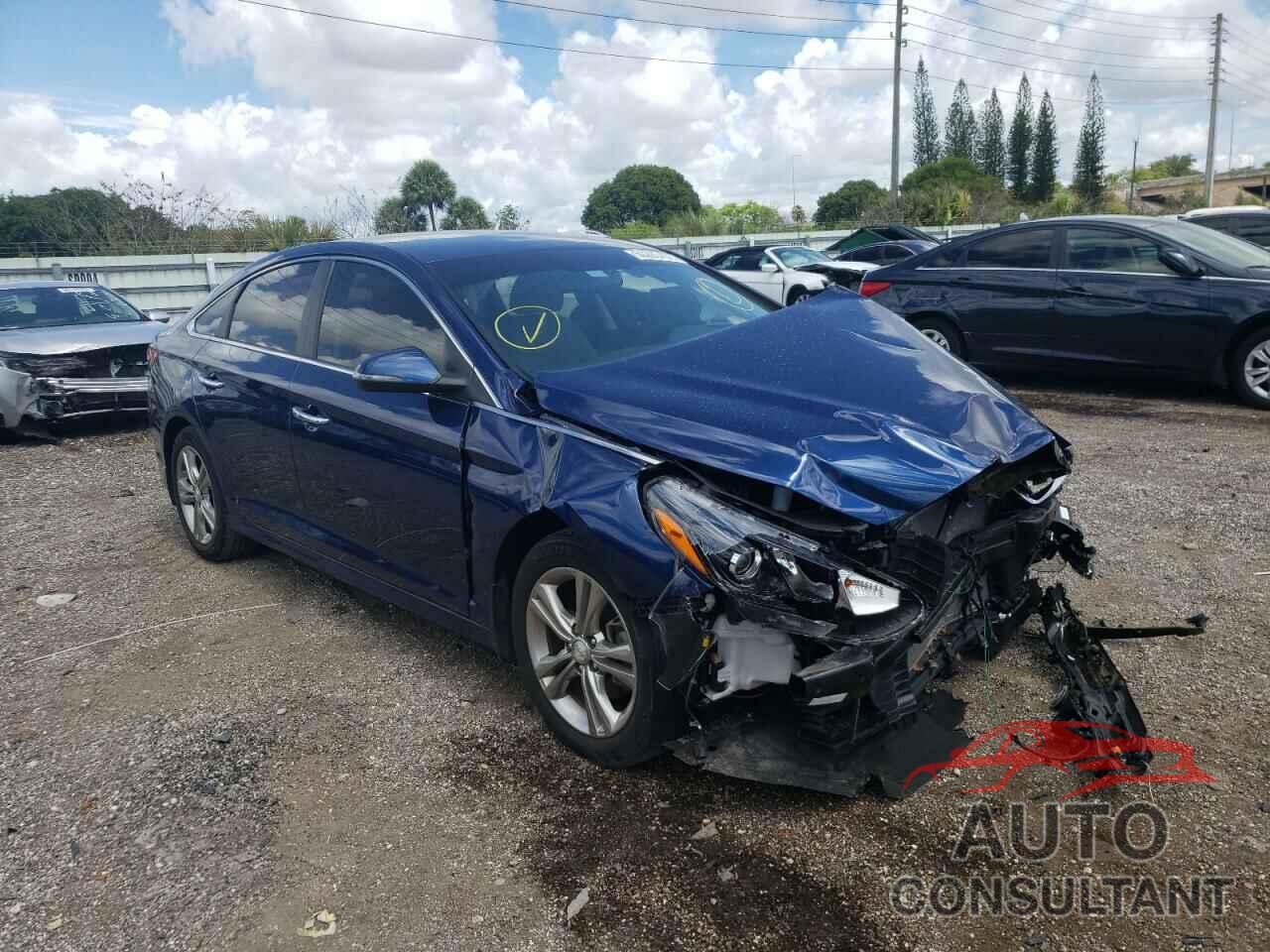 HYUNDAI SONATA 2019 - 5NPE34AF3KH808999