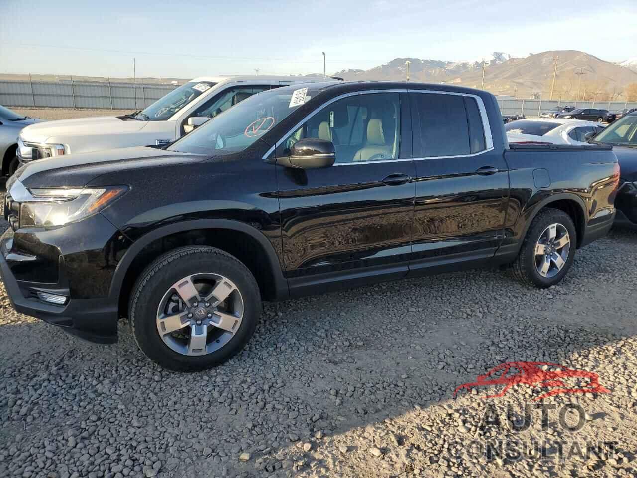 HONDA RIDGELINE 2024 - 5FPYK3F56RB015920