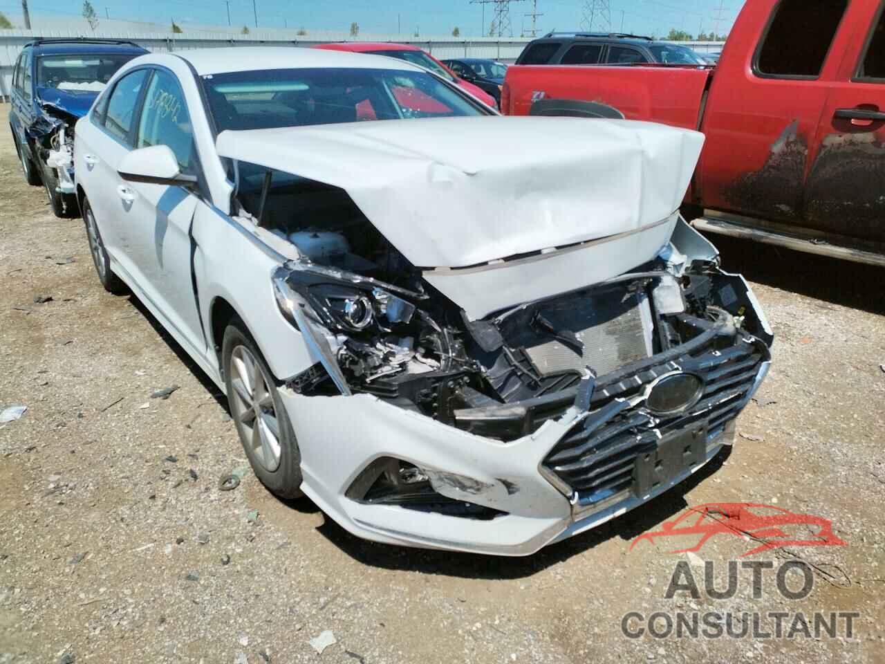 HYUNDAI SONATA 2019 - 5NPE24AF6KH737901