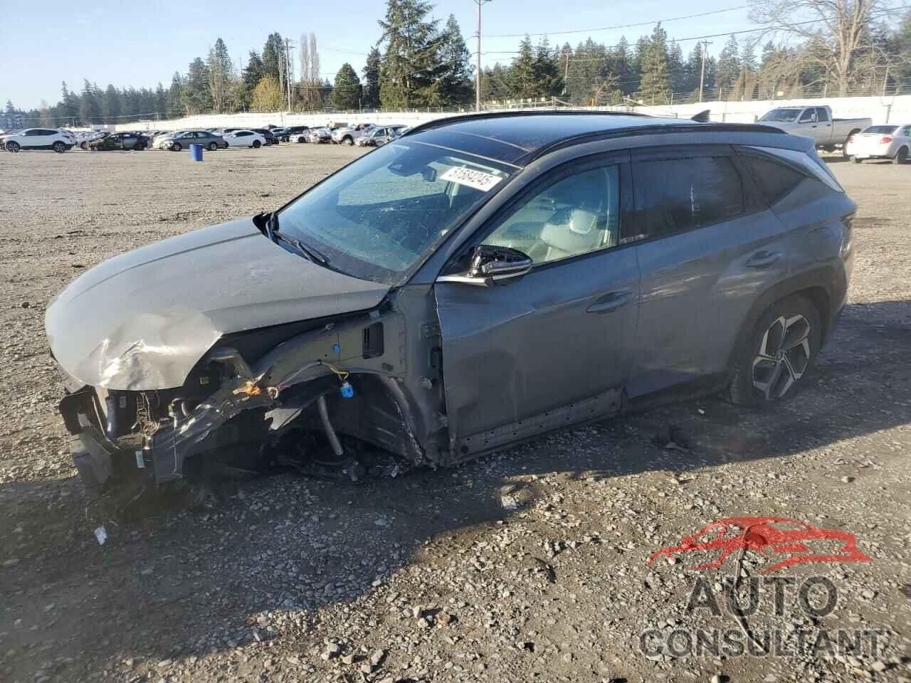 HYUNDAI TUCSON 2024 - 5NMJECDE6RH337038