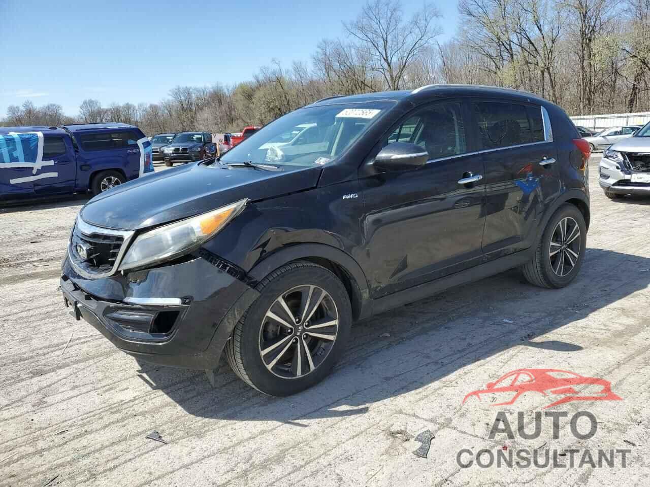 KIA SPORTAGE 2016 - KNDPCCA66G7817999