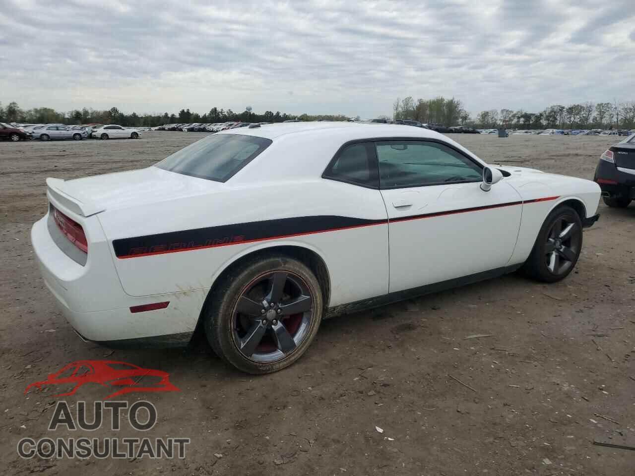 DODGE CHALLENGER 2013 - 2C3CDYBT9DH679344