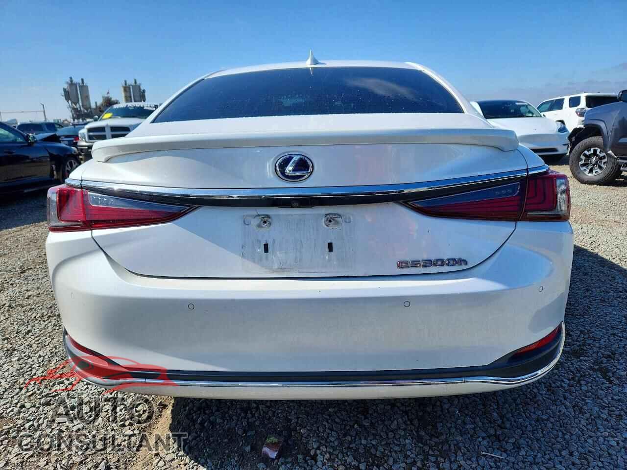LEXUS ES300 2021 - 58ADA1C16MU002010