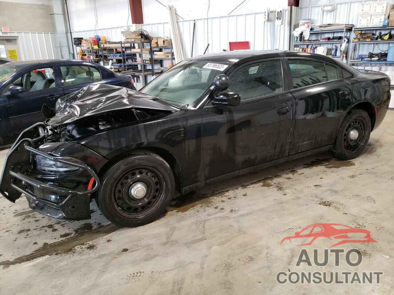 DODGE CHARGER 2019 - 2C3CDXKT7KH582019