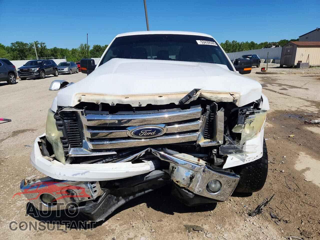 FORD F150 2011 - 1FTFX1CF5BKD41753