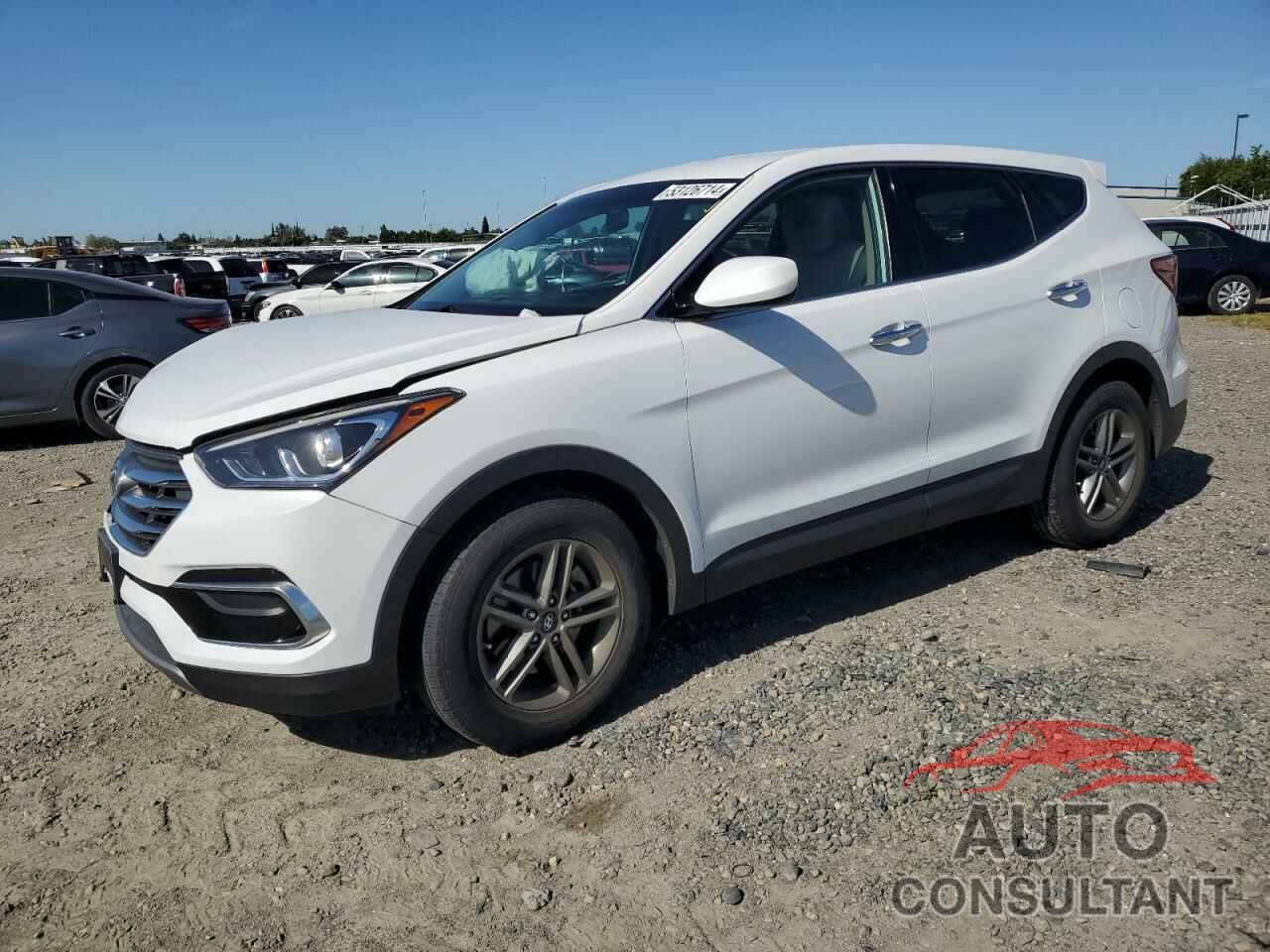 HYUNDAI SANTA FE 2017 - 5NMZT3LB0HH020130