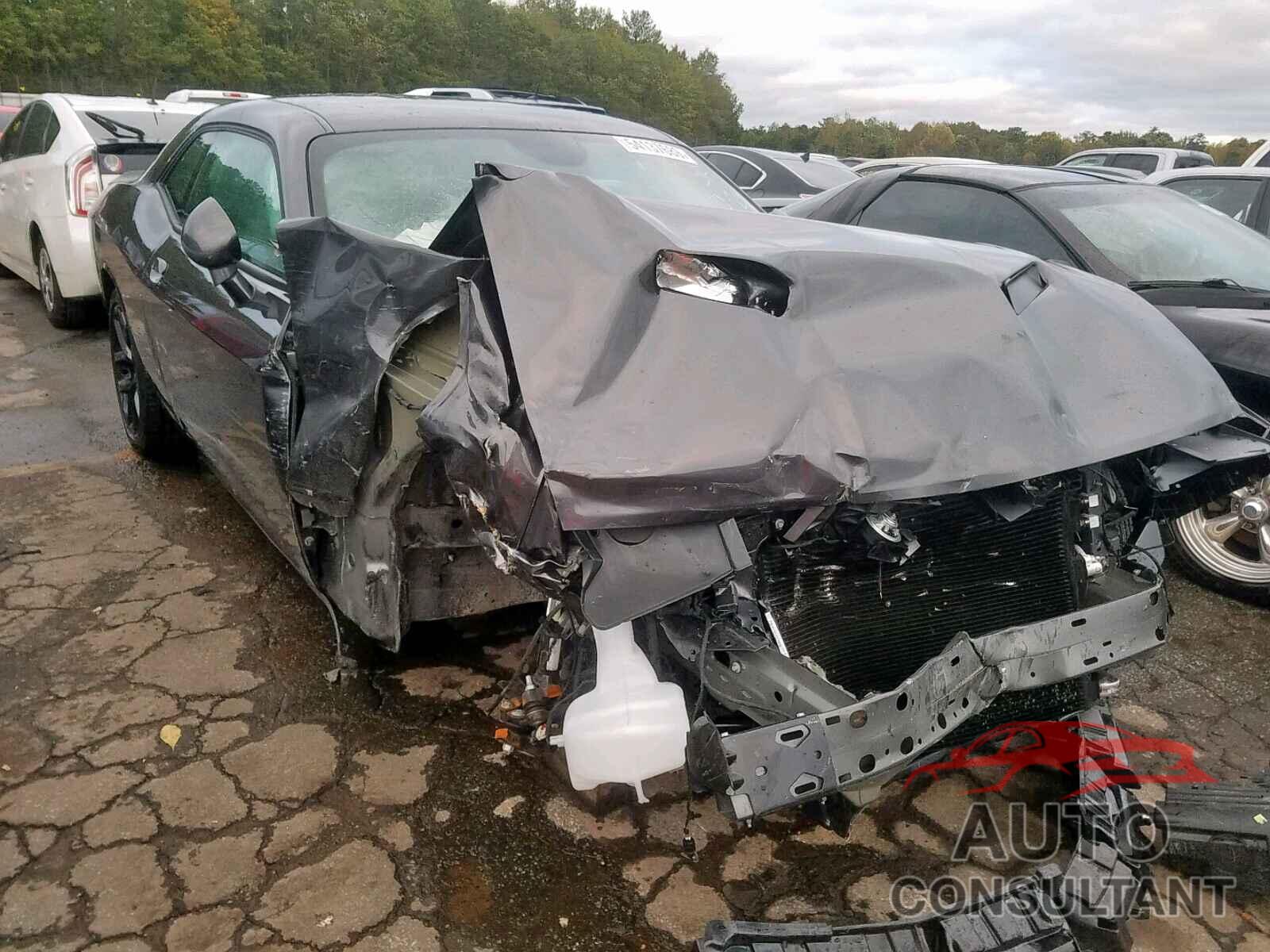 DODGE CHALLENGER 2019 - 2C3CDZAG9KH618616