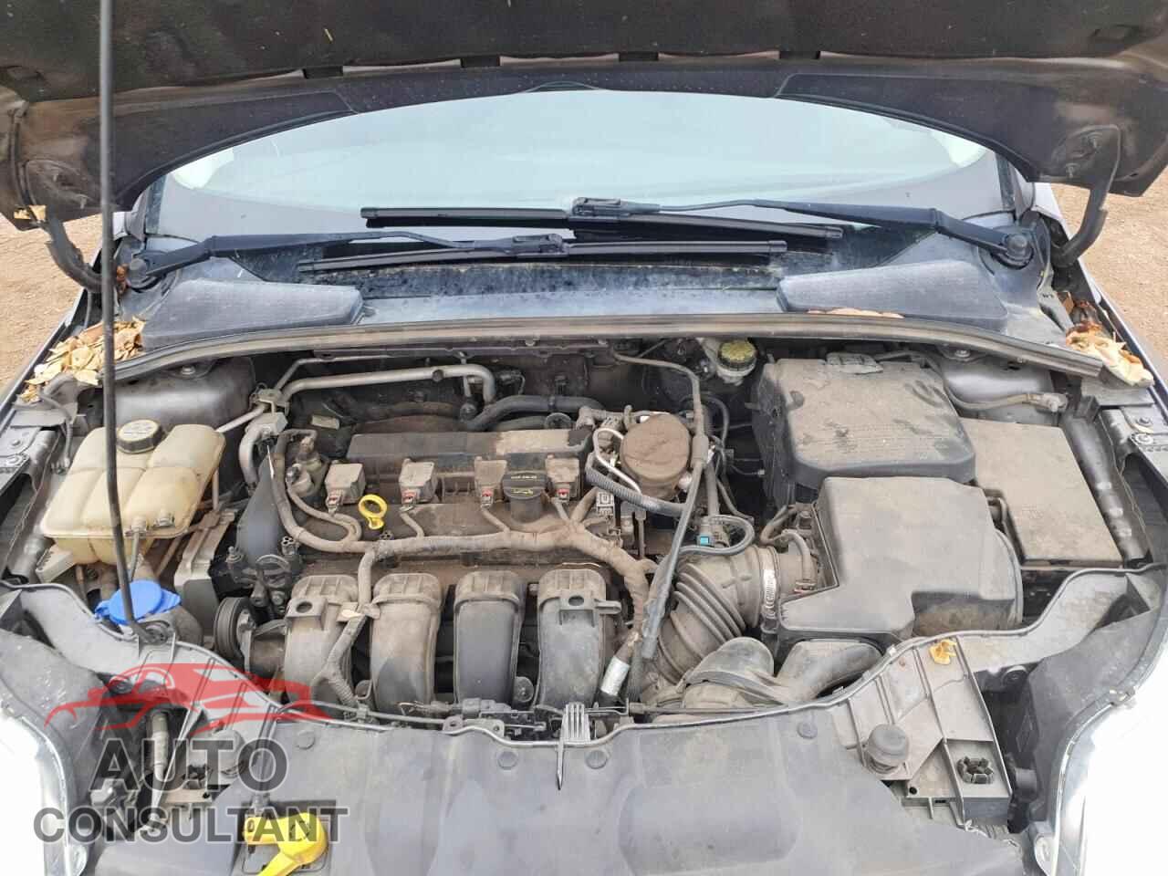FORD FOCUS 2013 - 1FADP3F29DL205513