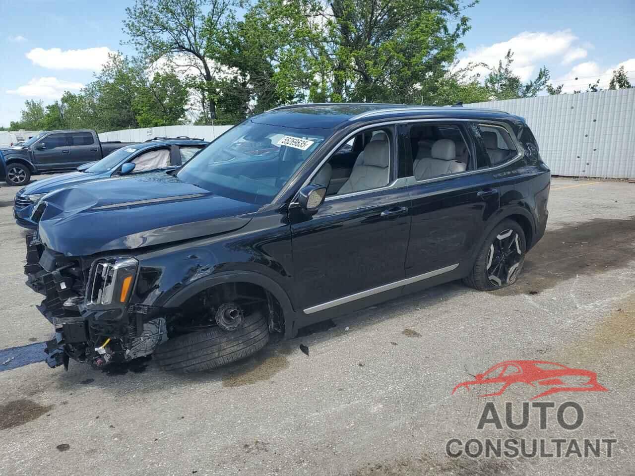 KIA TELLURIDE 2024 - 5XYP34GC6RG443368
