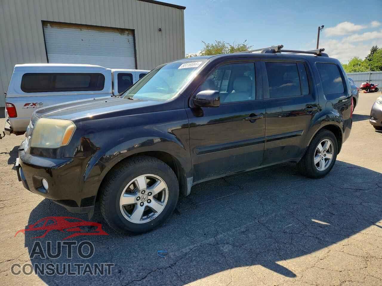 HONDA PILOT 2009 - 5FNYF38519B020906