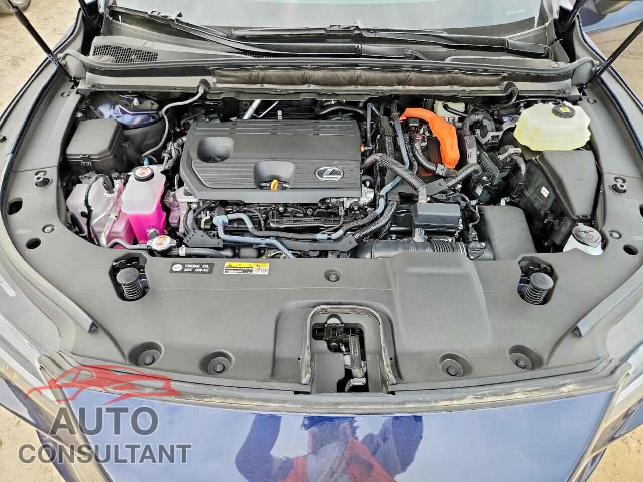 LEXUS UNKNOWN 2026 - 2T2BBMCA8TC131696