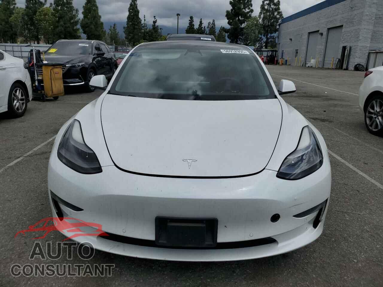 TESLA MODEL 3 2021 - 5YJ3E1EA5MF874213