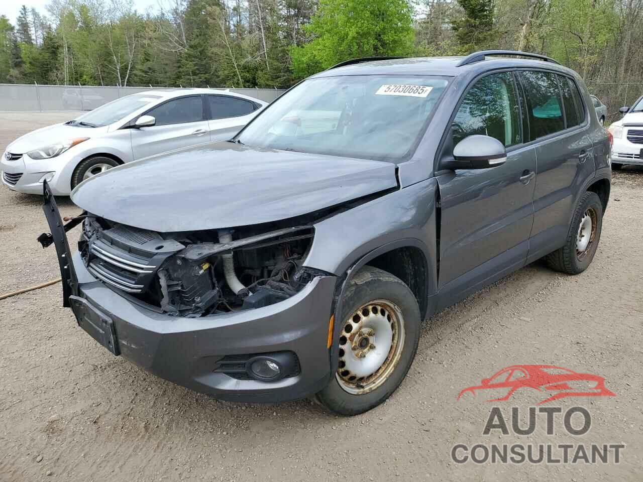 VOLKSWAGEN TIGUAN 2013 - WVGJV3AX7DW586035