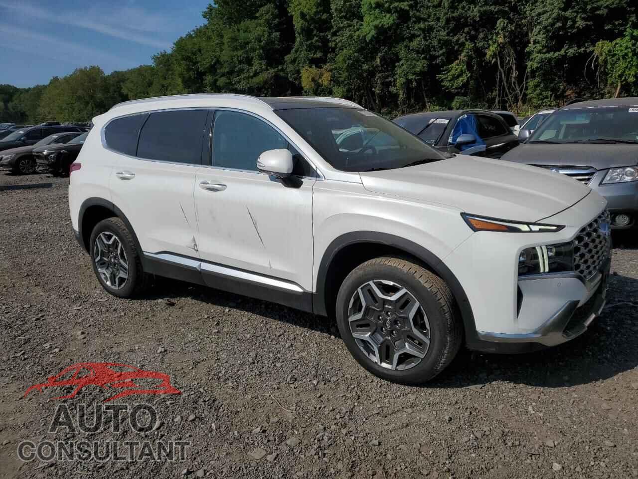 HYUNDAI SANTA FE 2023 - 5NMS4DAL7PH486510