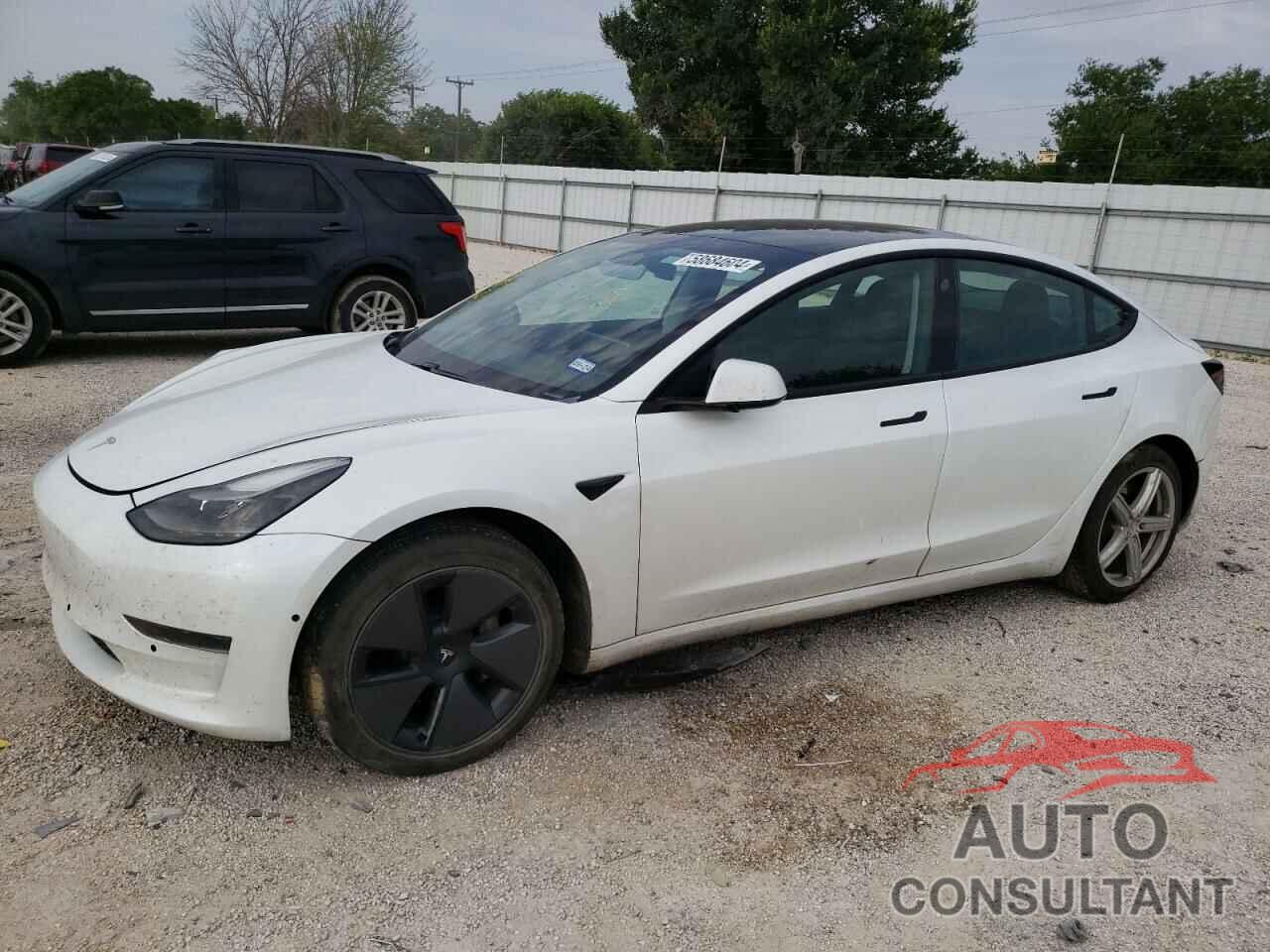 TESLA MODEL 3 2021 - 5YJ3E1EA3MF908004