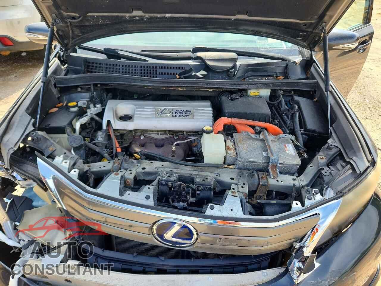 LEXUS HS 2010 - JTHBB1BA0A2017724