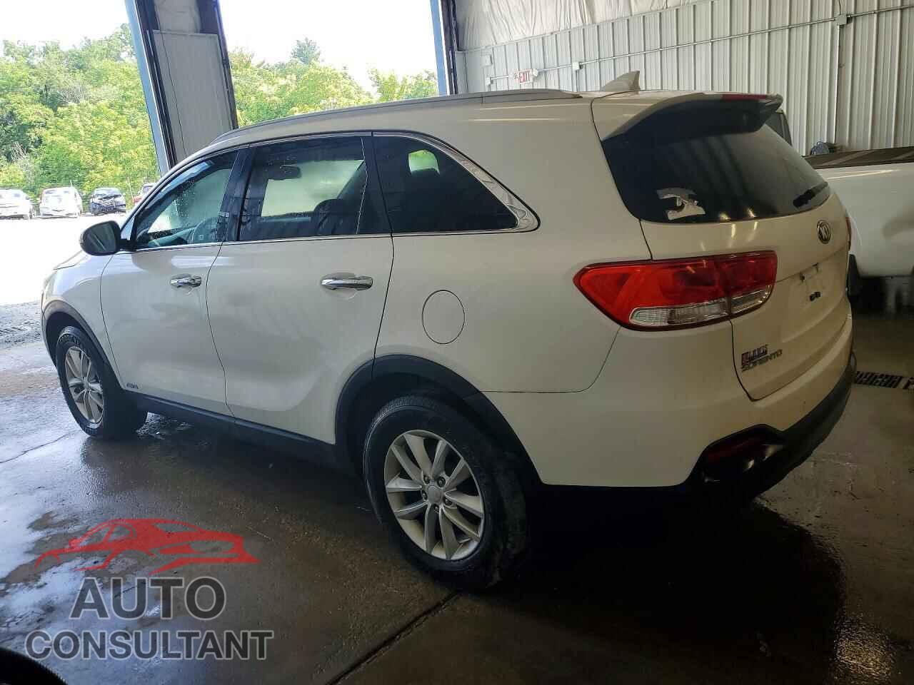 KIA SORENTO 2017 - 5XYPGDA30HG231299