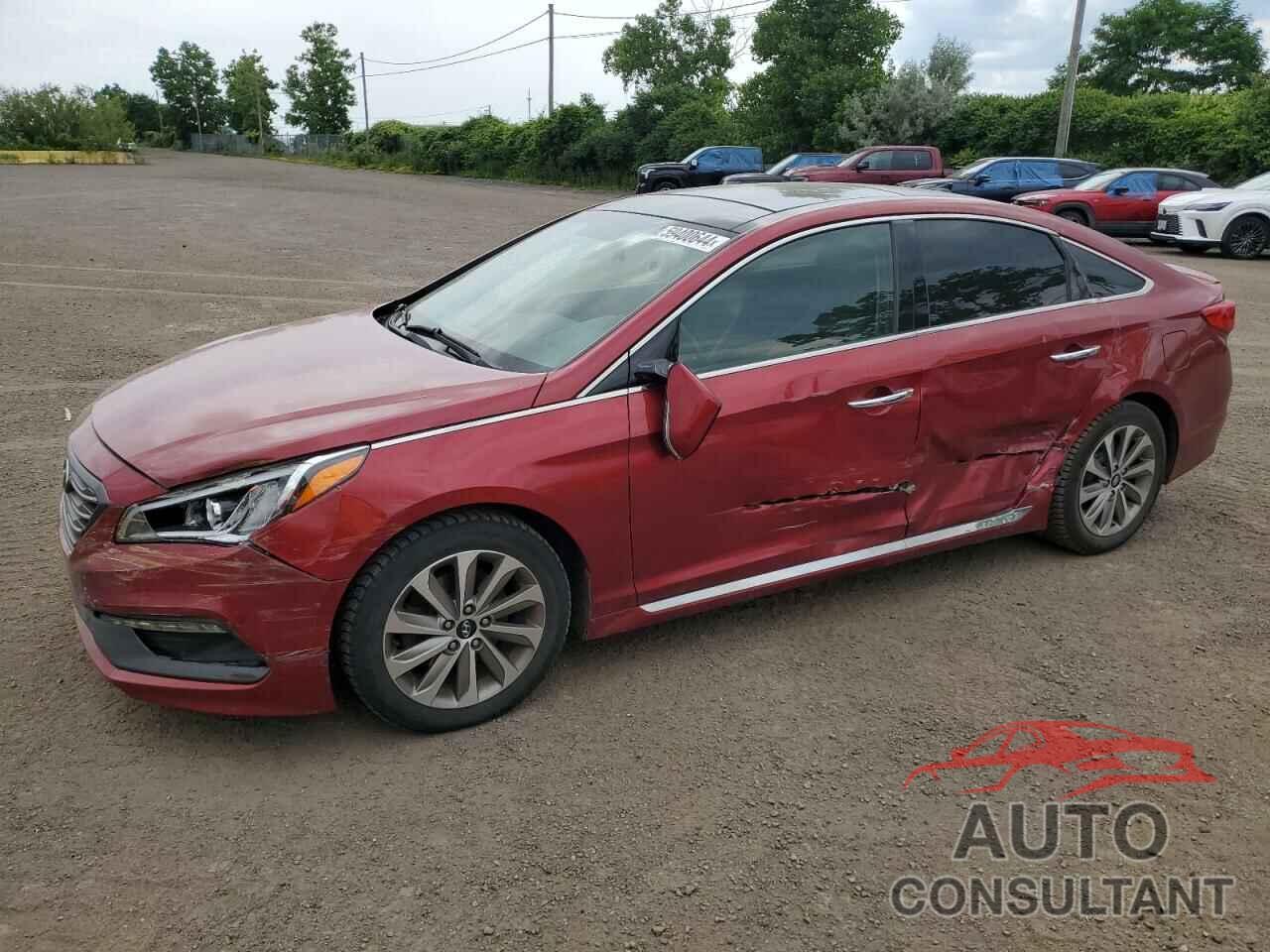 HYUNDAI SONATA 2016 - 5NPE34AF4GH328686