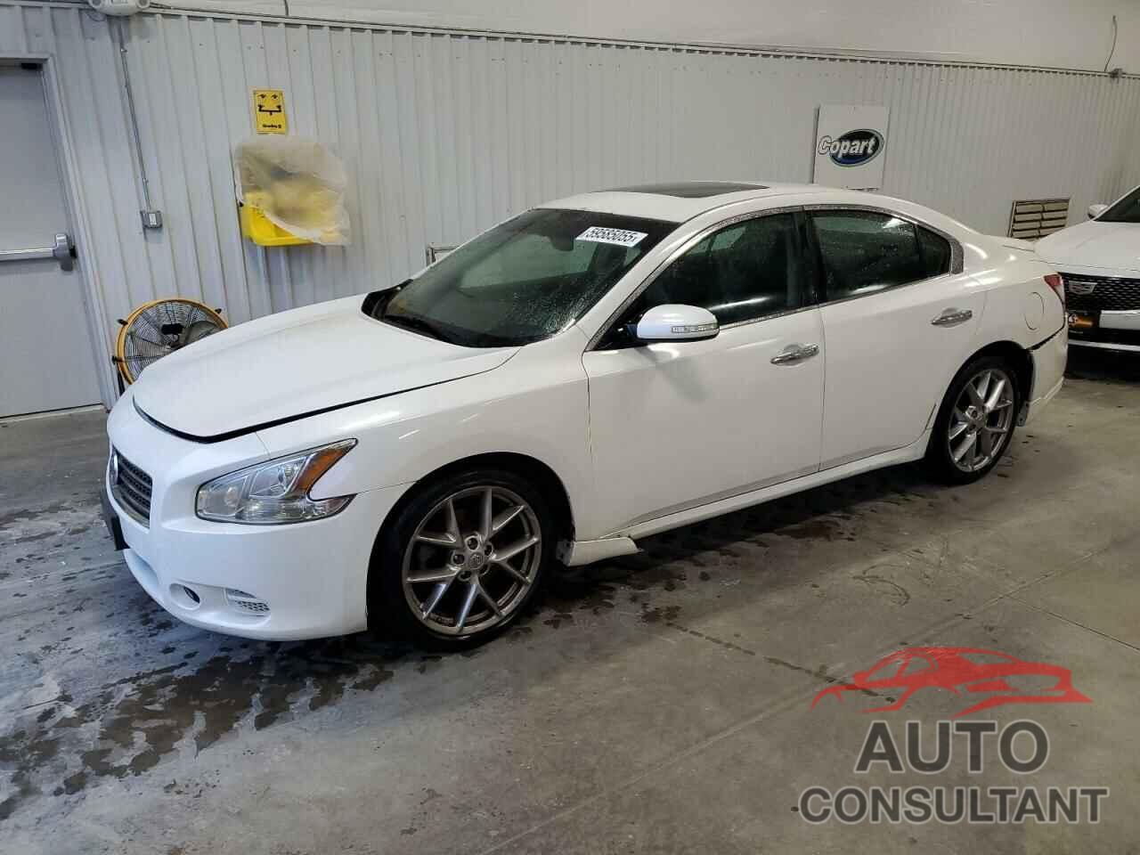 NISSAN MAXIMA 2010 - 1N4AA5AP1AC814626