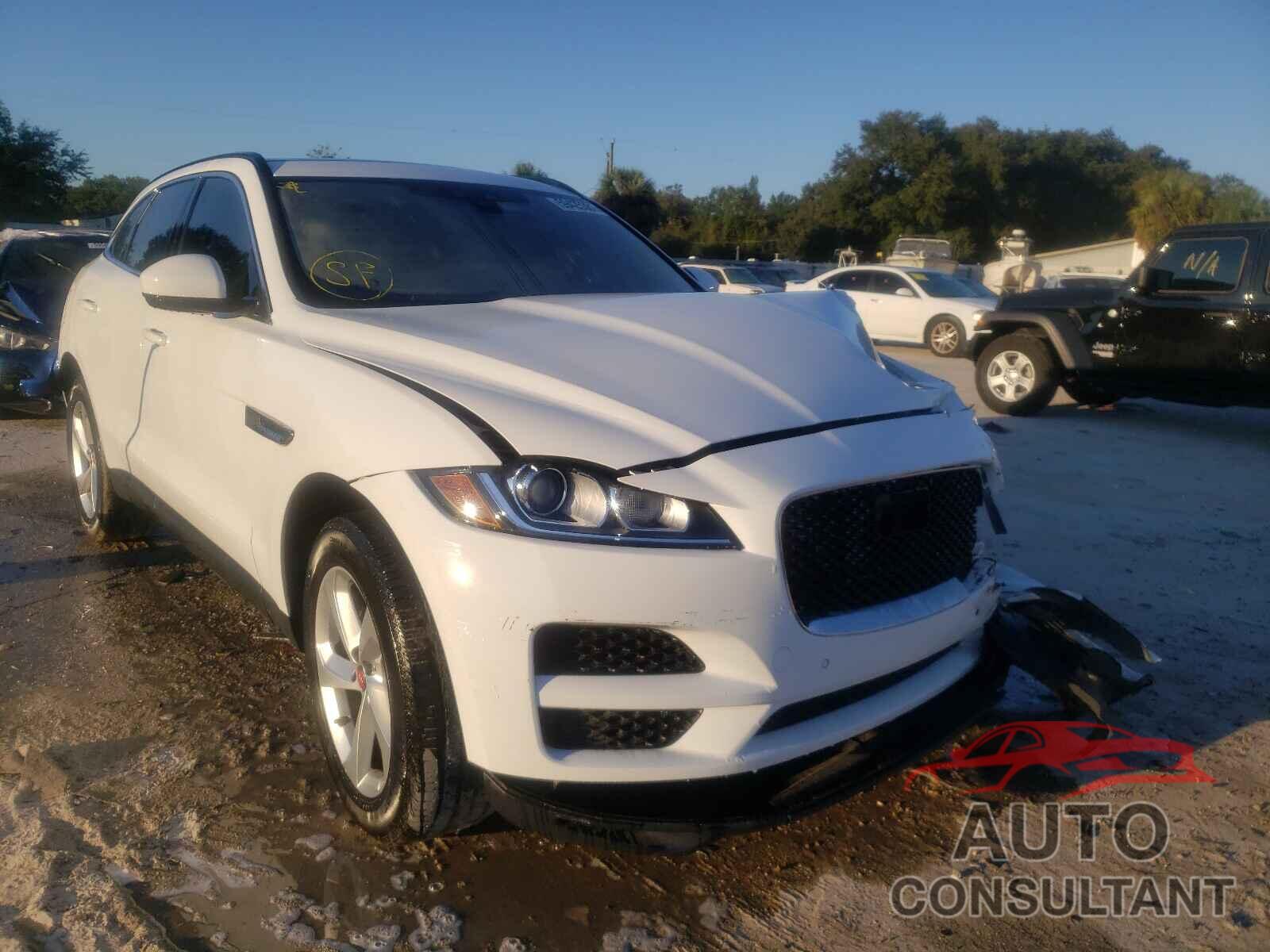 JAGUAR F-PACE 2019 - SADCJ2FXXKA358735