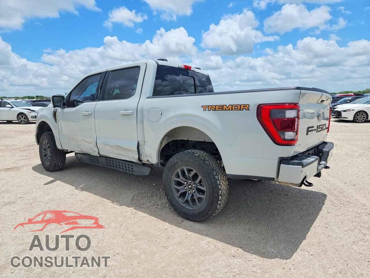 FORD F150 2023 - 1FTEW1E8XPFA57984