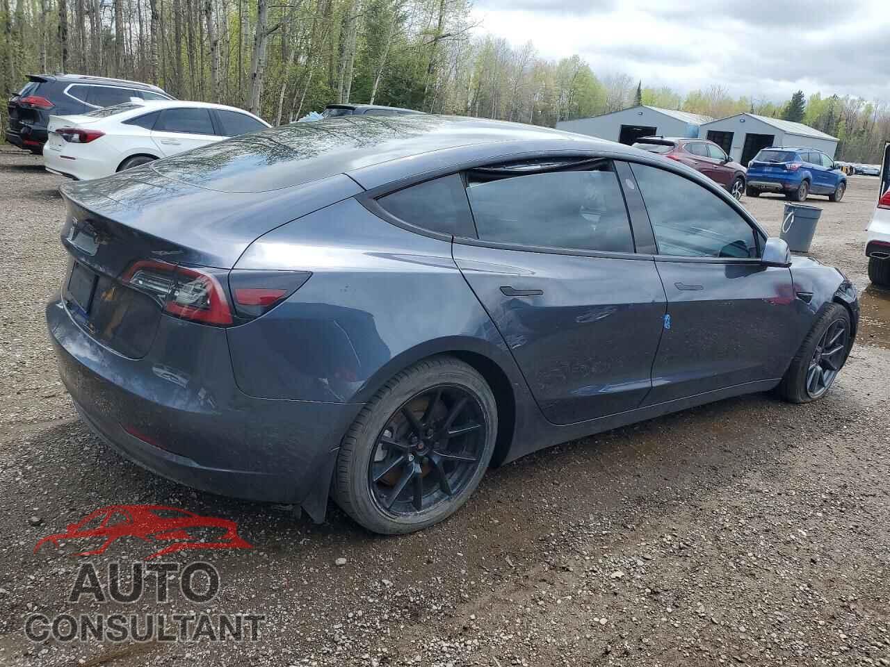TESLA MODEL 3 2021 - 5YJ3E1EA4MF095465