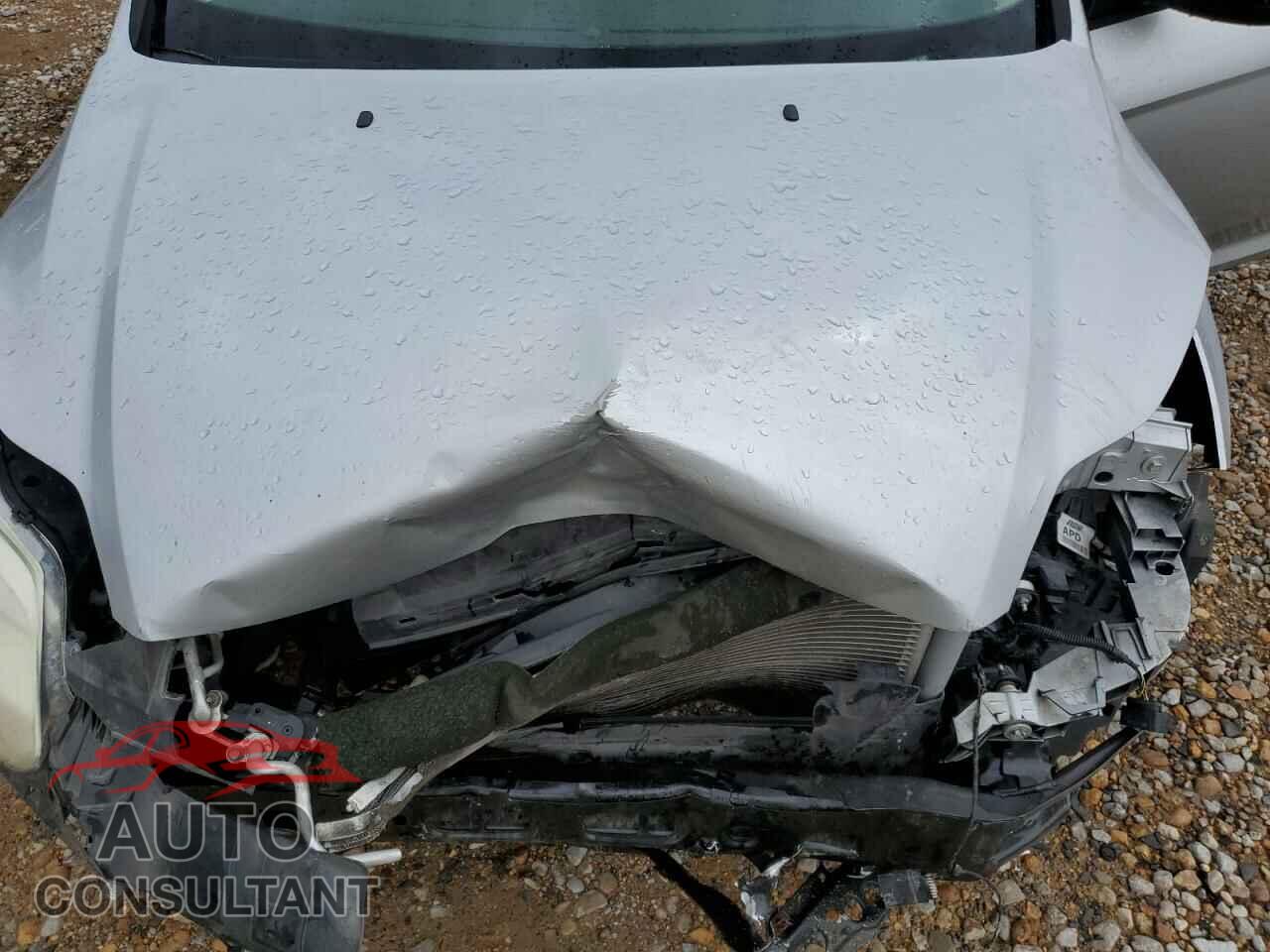 FORD FOCUS 2012 - 1FAHP3K26CL422264