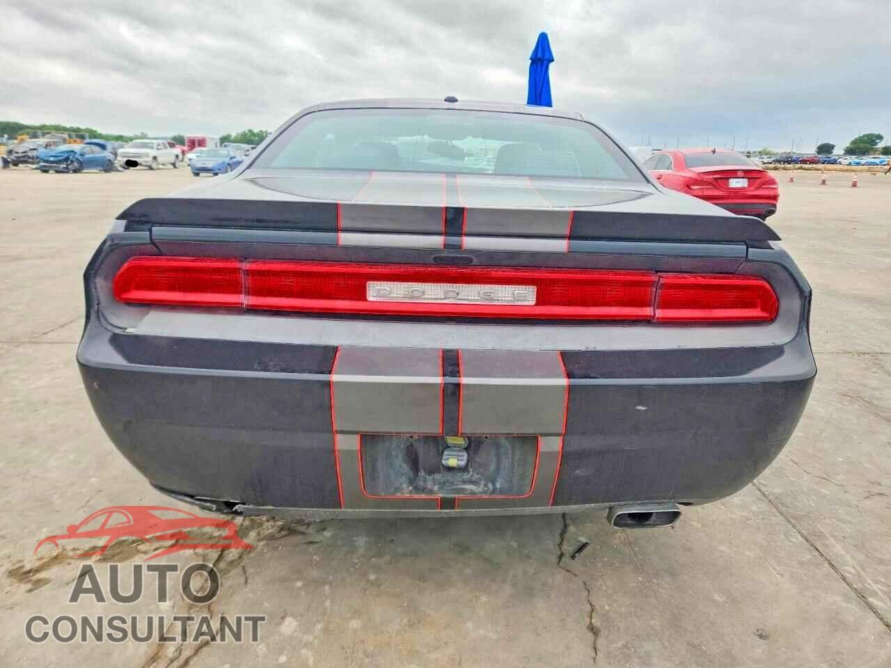 DODGE CHALLENGER 2013 - 2C3CDYBT2DH662613