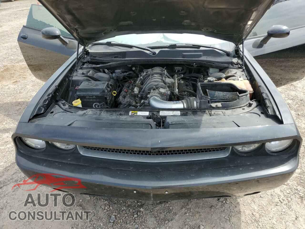 DODGE CHALLENGER 2013 - 2C3CDYBT5DH628892