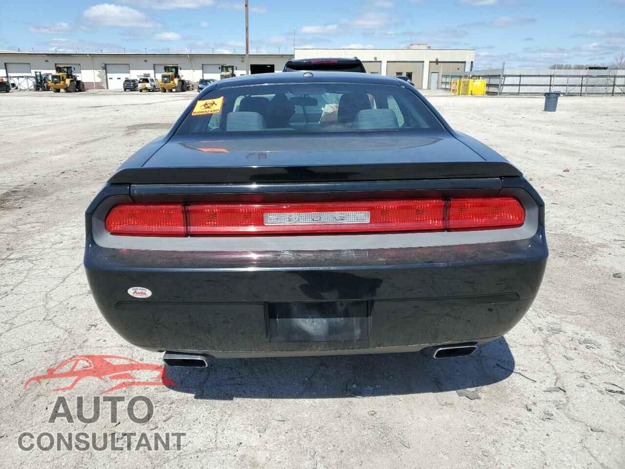 DODGE CHALLENGER 2014 - 2C3CDYBT9EH224897