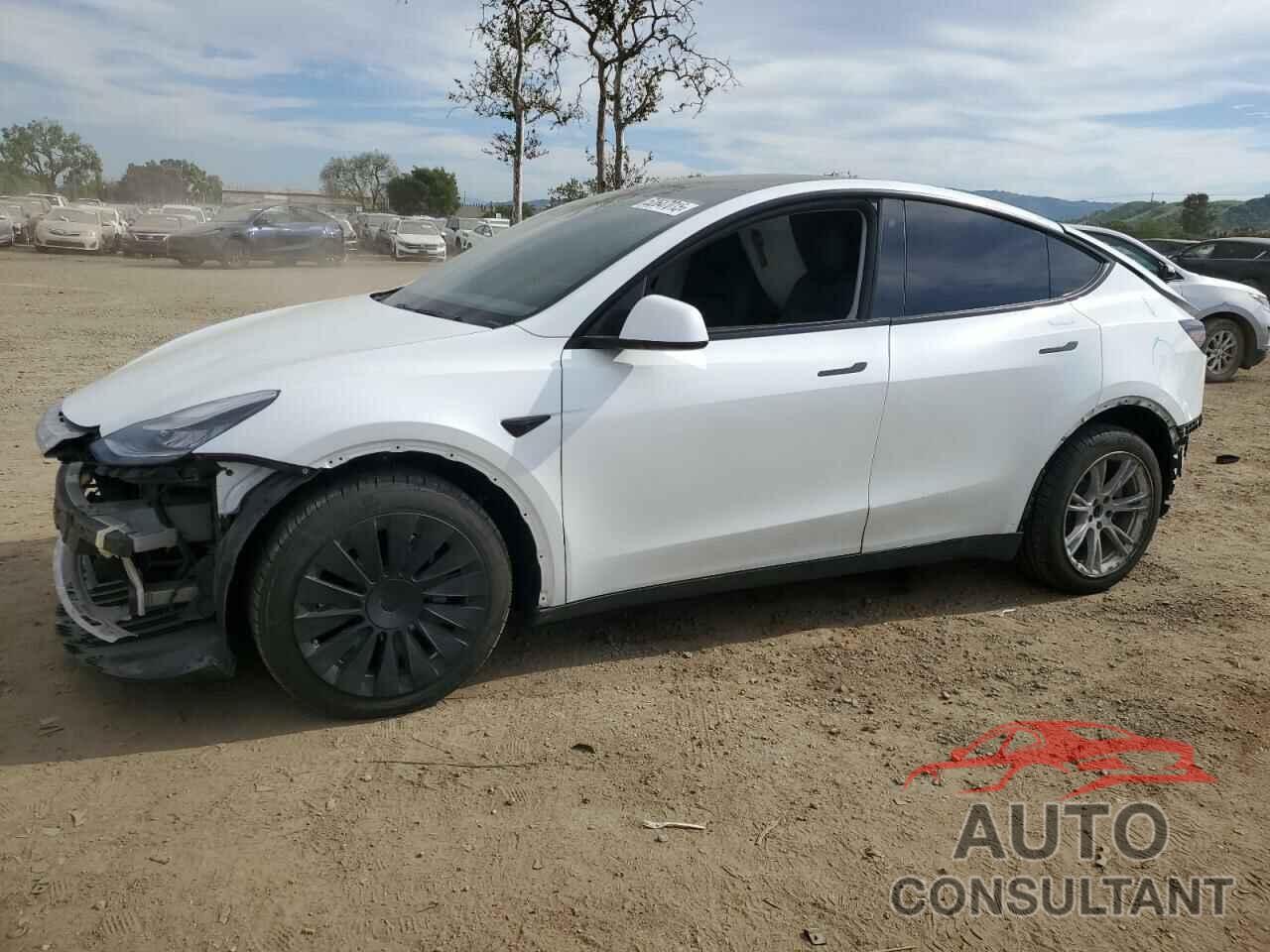 TESLA MODEL Y 2020 - 5YJYGDEE3LF019660