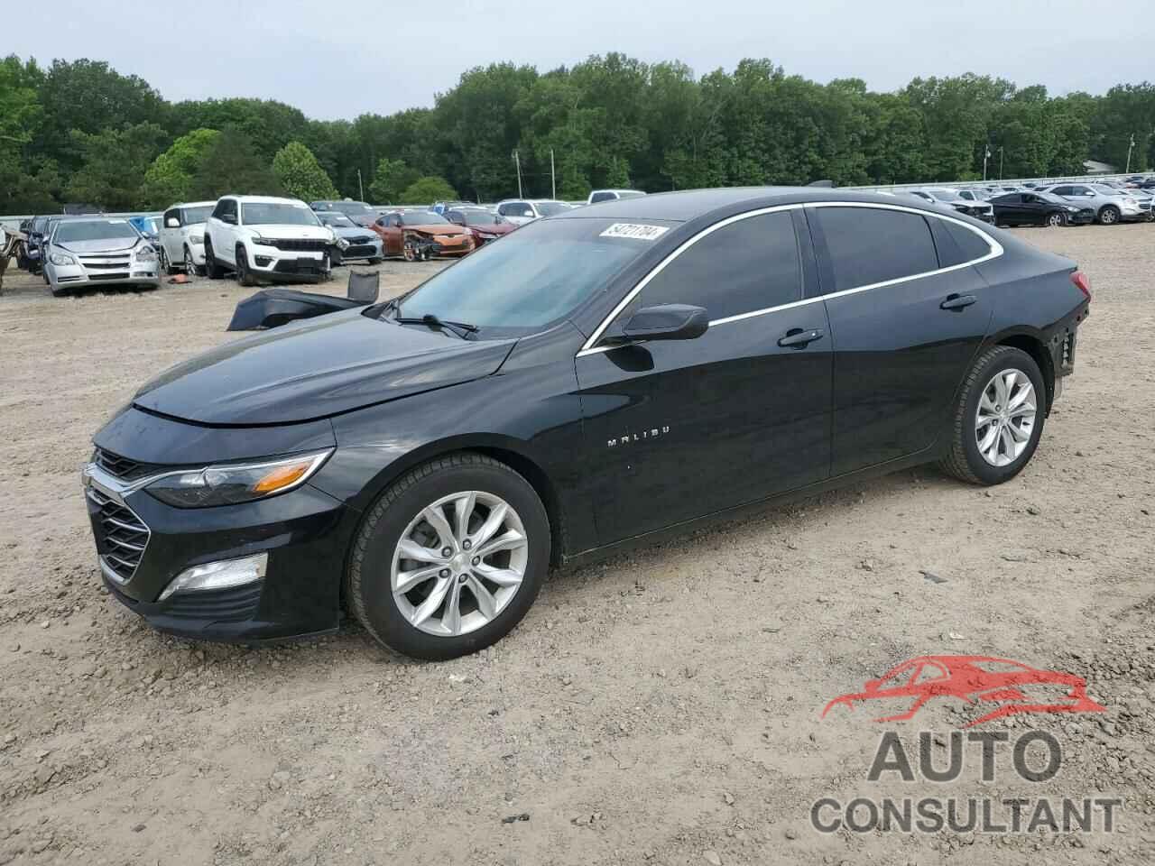 CHEVROLET MALIBU 2019 - 1G1ZD5STXKF166695