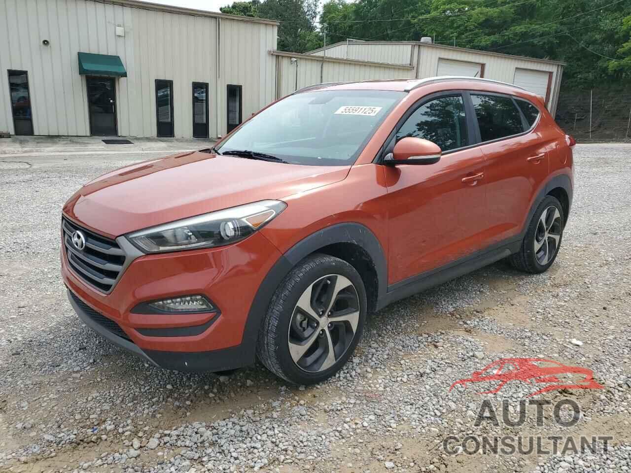 HYUNDAI TUCSON 2016 - KM8J33A26GU181441