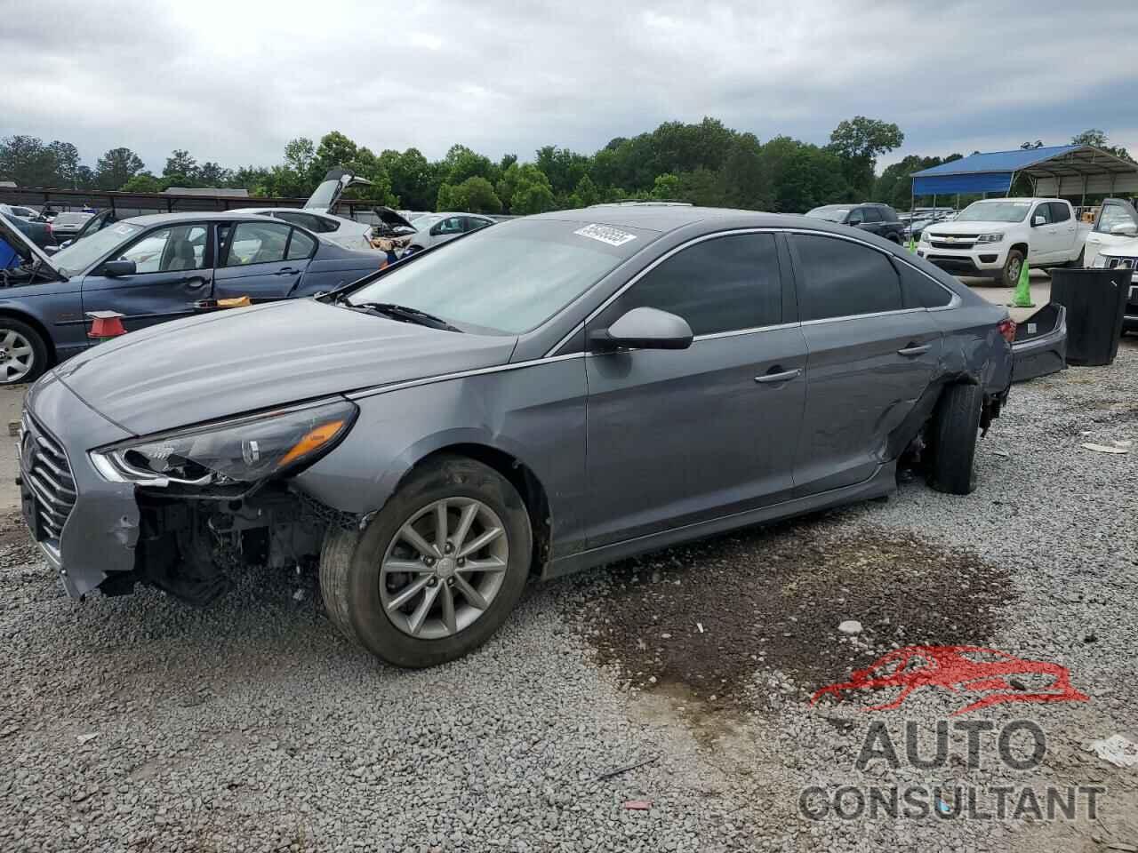 HYUNDAI SONATA 2019 - 5NPE24AF5KH801300