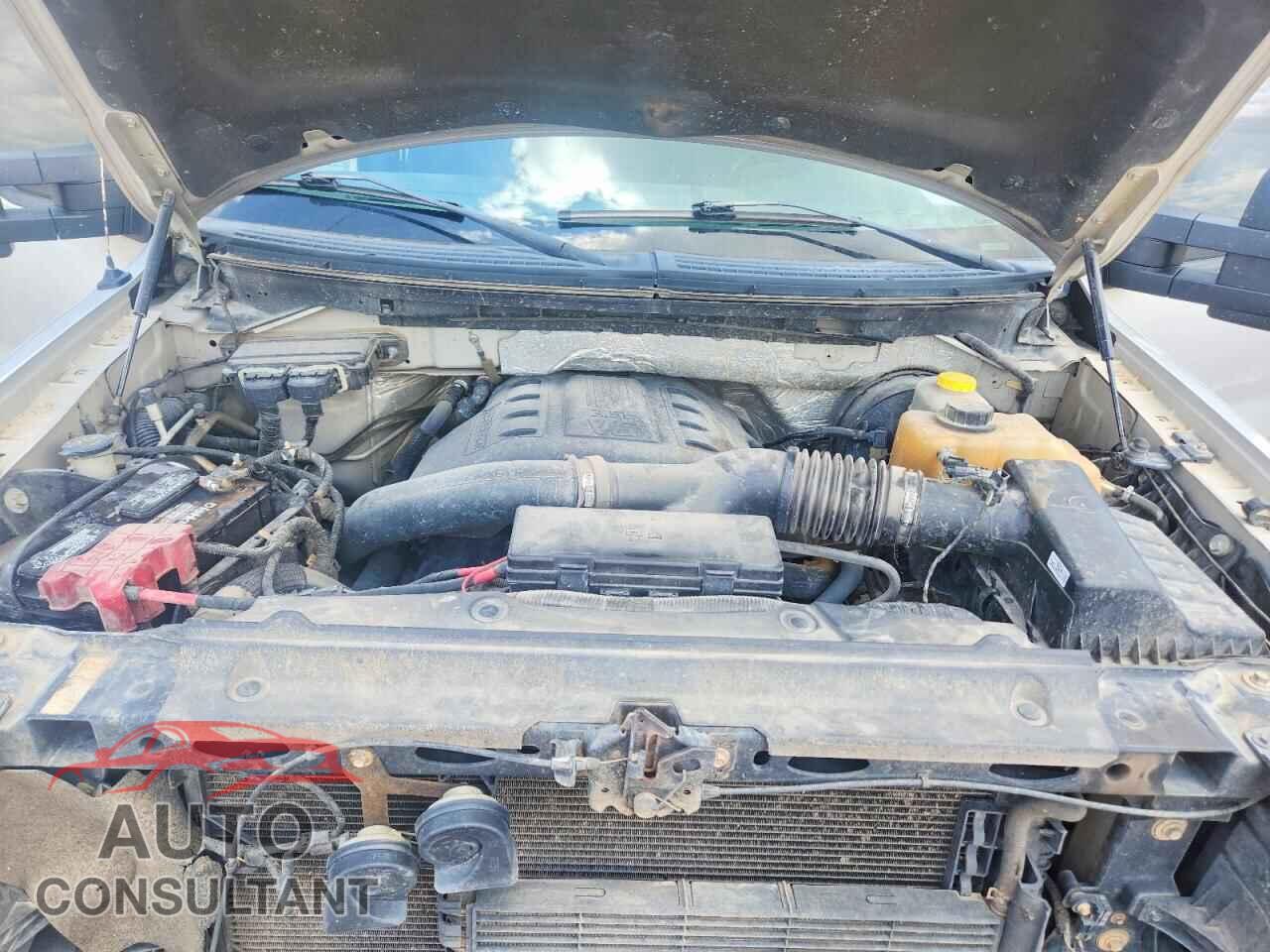 FORD F150 2014 - 1FTFW1CT1EKE02027