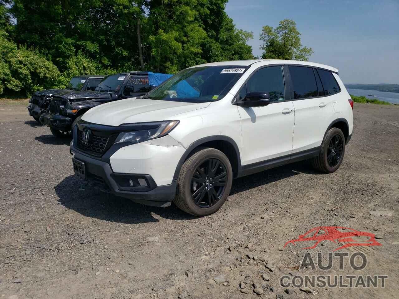 HONDA PASSPORT 2020 - 5FNYF8H58LB009325