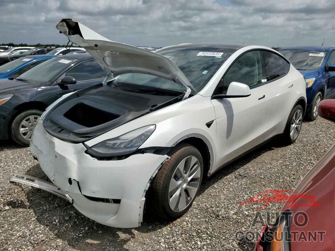 TESLA MODEL Y 2023 - 7SAYGDEE2PA102521