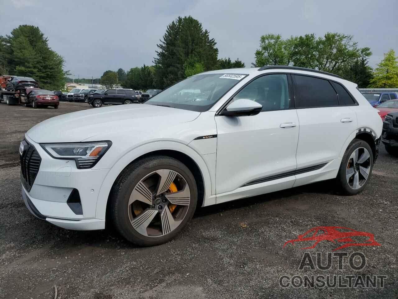 AUDI E-TRON 2023 - WA1LAAGE4PB003588