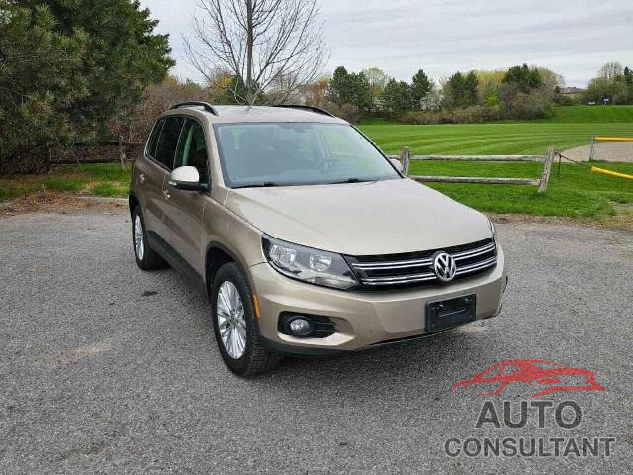 VOLKSWAGEN TIGUAN 2016 - WVGJV7AX8GW052957